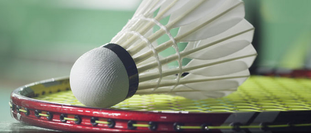 这不仅是体 这不仅是体