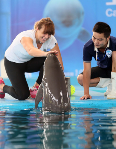 这些问题几 这些问题几