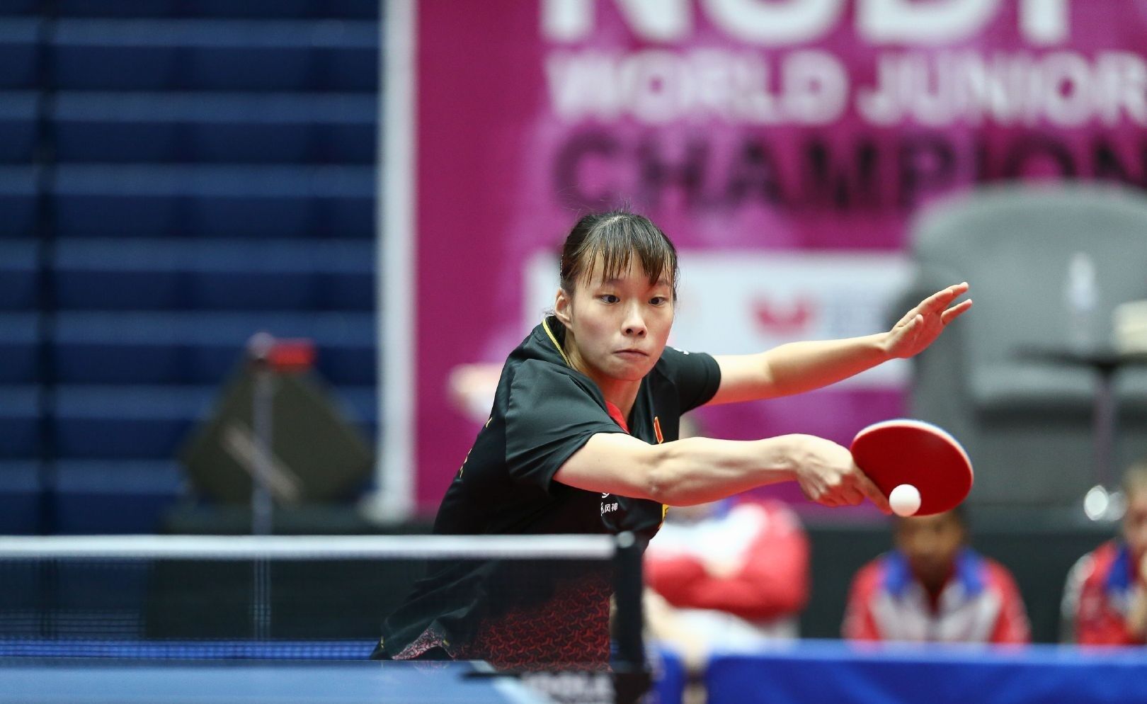 的国际经验 的国际经验